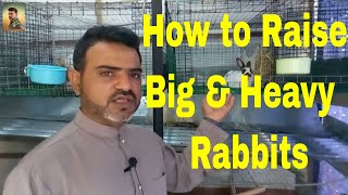 Rabbit Raise Big and Heavy !! Rabbit Gain Fast Weight by fresh & healthy Life is Easy screenshot 2