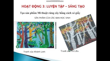MT2 Tuần 19+20 Rừng cây rậm rạp 2 tiết