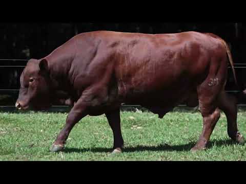 LOTE 02   MMM 1341