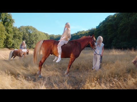 Museau — MUSEAU - NOS ANNEES SAUVAGES