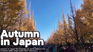 Hd4K Explore Japans Beauty With Showtrip On Youtube