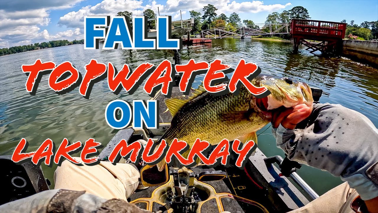 Fall Topwater Bass Fishing Adventure At Lake Murray – Chasing Schools Of Bass!