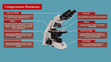 Quais são as partes de um microscópio óptico?