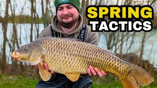 The best Spring Tactics | Carp Fishing ꟾ Zig Rig ꟾ Bait Mix ꟾ Boilies