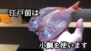 【寿司屋の仕事】腐っても鯛　江戸前小鯛/春子鯛の仕込み方〜寿司になるまで