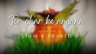 Tor ghar ke angana slow x reverb | c.g jassgeet #cglofi