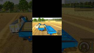 Spelt Big Harvesting | Class Or Cr11 Harvester Big Challenge | fs25 #fs25 #shorts #youtubeshorts