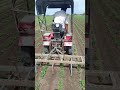 Mitsubishi  15hp tiller to four wheel performance in cultivation in ground nut