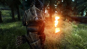 Elder Scrolls V  Skyrim Suki