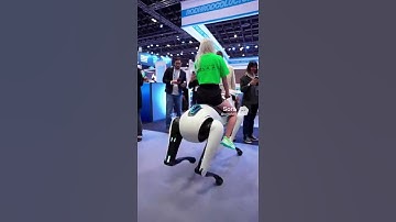 Quadruped’s Debut Smooth Locomotion On Stage #robotics #quadrupedrobot #techexpo