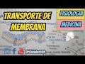 Transporte a través de la membrana celular