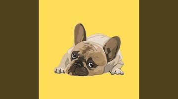 Pulsating Ambience for Peaceful Puppy Moments