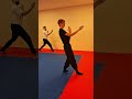 Wing Tsun Kung Fu • practicing steps and kicks #harcművészet #martialarts #kungfu #újbuda #wingtsun