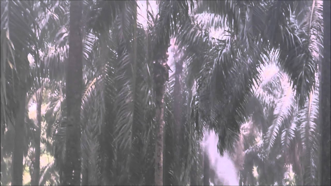 Bravo FlexiGun 65s by G-PLANTER #2