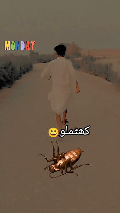 https://vt.tiktok.com/ZSkTrKnfj/ #lifeisbutadream #answer #carsongs #wwesmackdown #comedyfilms #cut