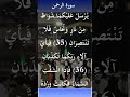 تلاوة سورة الرحمن الايات من 35 الى 40 Shorts 