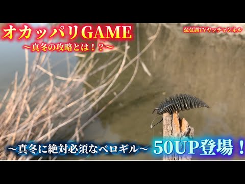 【バス釣り】50UP登場！真冬に絶対必須！ベロギルのシェイク巻きとは！？