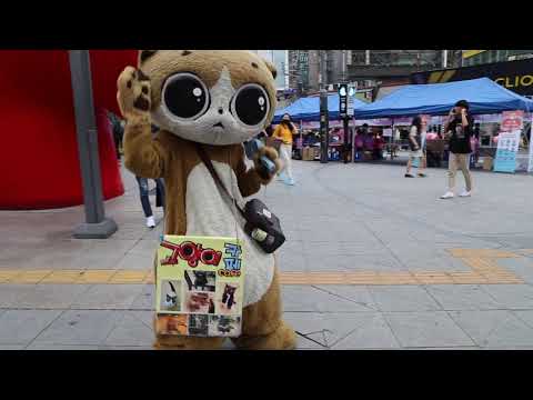 JHKTV] 신촌명물고양이 <strong>니가좋아</strong>  shin chon special cat  I like you