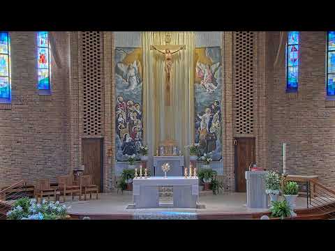 Daily Mass Tuesday - 8:15 AM - 04/16/2024