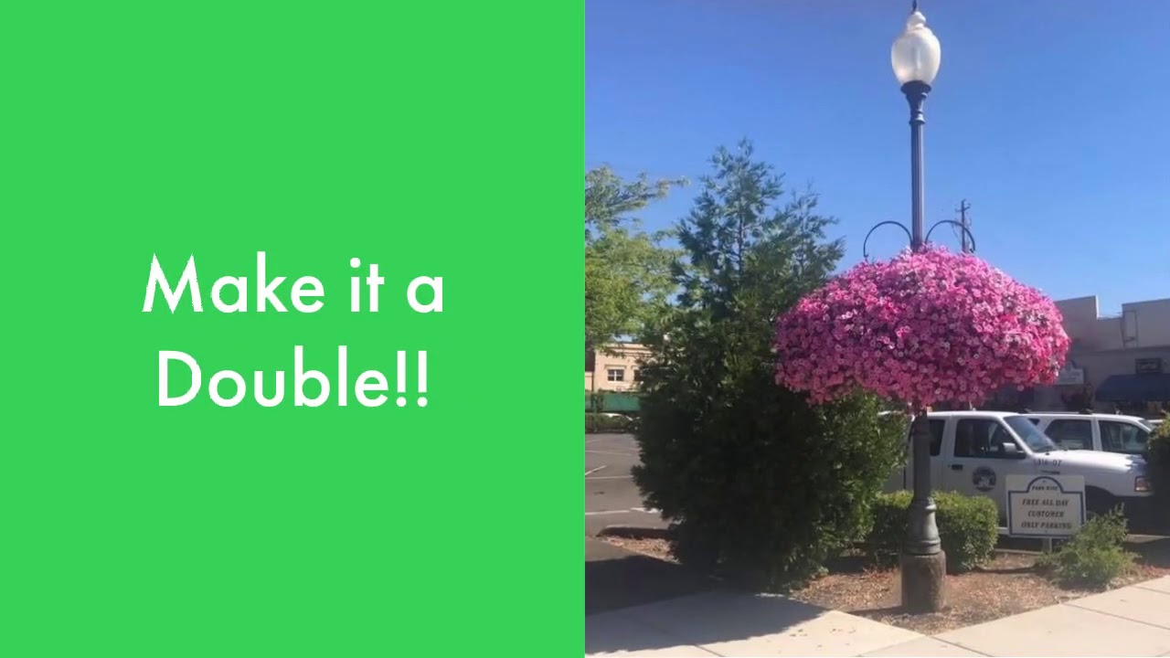 Pro Series Self Watering Hanging Basket