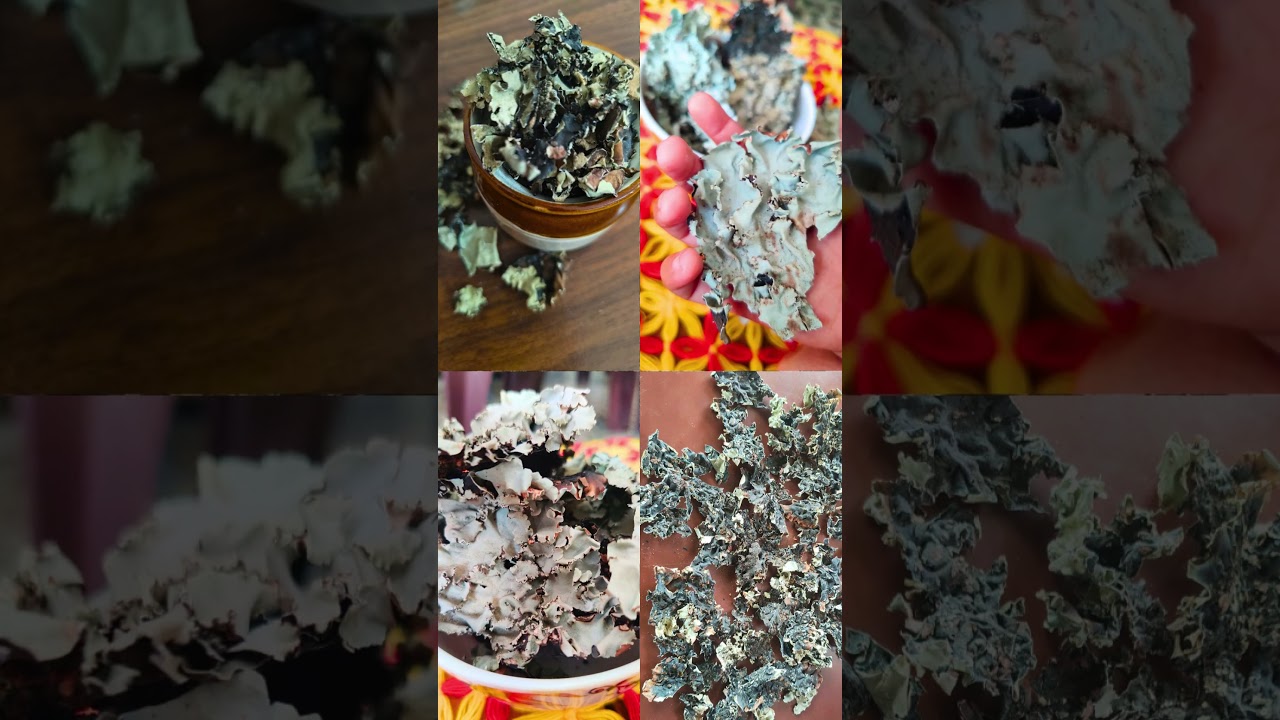 Handpicked A1 Bay Leaf & Black Stone Flower