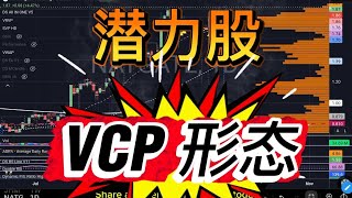 潜力股 VCP 形态的飙股！AI 相关的科技股！ 中英字幕 ENG SUB 