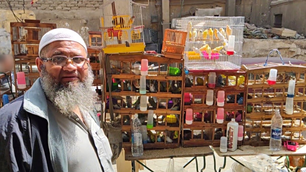 Я сфотографировался с Абу Хабибой и самыми странными птицами, которых я когда-либо видел в своей ...