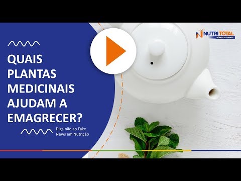 QUAIS PLANTAS MEDICINAIS AJUDAM A EMAGRECER? | NUTRITOTAL