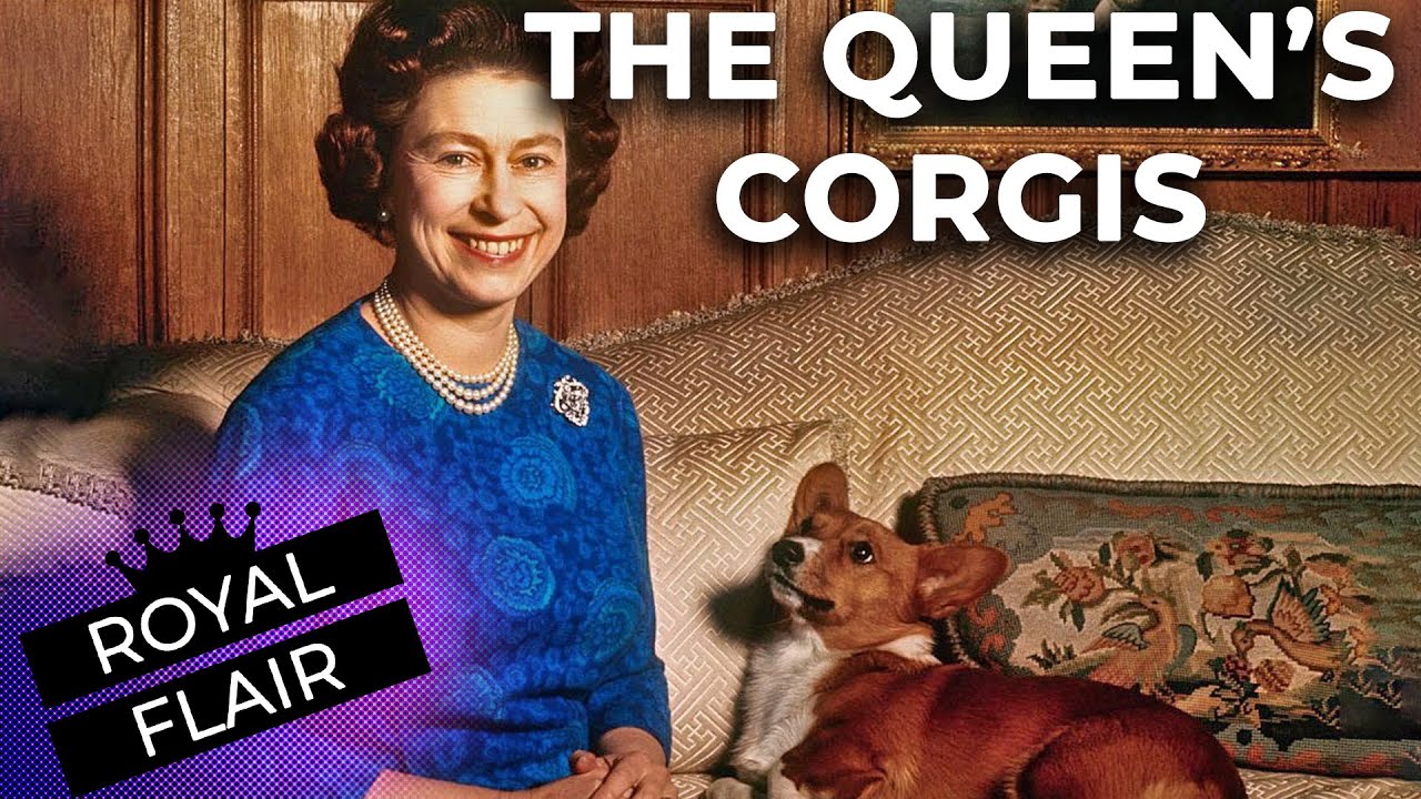 Queen Elizabeth And Her Corgis | ROYAL FLAIR