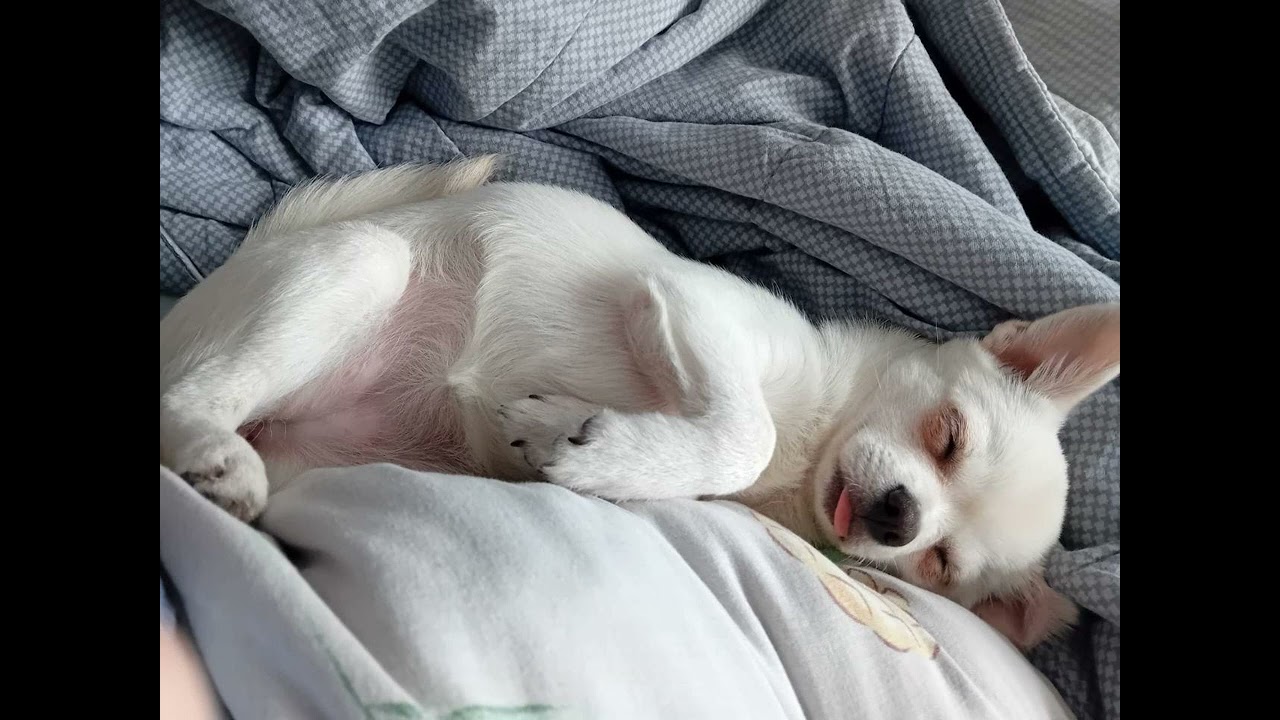 [FREE] greyrock x tewiq x digicore type beat