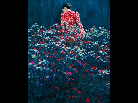 Peter Gregson - Sense