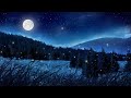 Relaxing Music And Night Nature Sounds Soft Crickets Beautiful Piano Sleep Music Stress Relief mp3