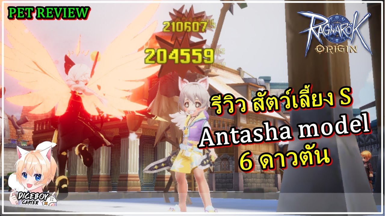 ⭐RAGNAROK ORIGIN | รีวิวสัตว์เลี้ยง Antasha 6 ดาวตัน ตัวท้อปสาย DPS ...