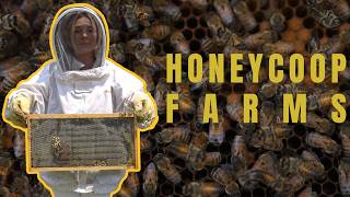 One Tank Trips: Honey Coop Farms