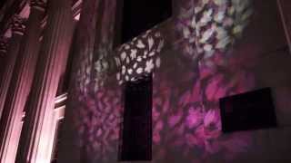 日本橋 桜フェスティバル ライトアップ (Nihonbashi Cherry Blossom Illumination)
