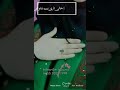 لطميه ياشريفه الهم ثكيل لطميه ياشريفه الهم ثكيل