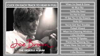 Miniatura del video "Joe Brown - When I'm Cleaning Windows - Ukulele Album"