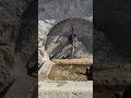 Arosa, Brunnen Bergkirchli
