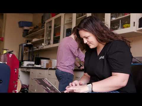 Alabama Automotive Engineering