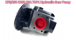 KF5250 H20B N0A 7DP1 Hydraulic Gear Pump