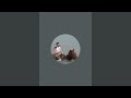 Wandering-Peter is live