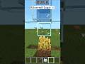 Minecraft Logic? 💀 #minecraft #shorts #logic