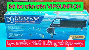 Bộ lọc tràn trên VIPSUNFICH - Lọc nước - thổi luồng và tạo oxy cho bể cá