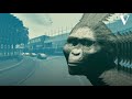 De prehistorie in vier minuten - de Volkskrant