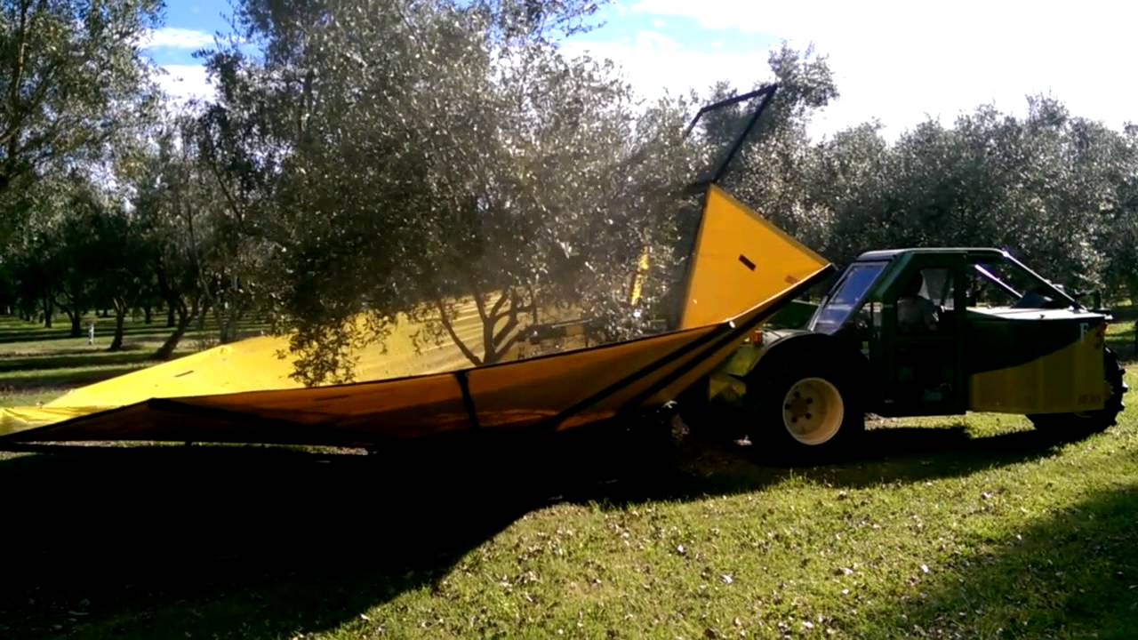 Sicma F3 demonstration