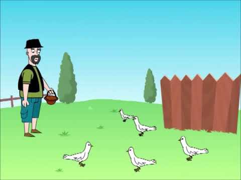 الحمام الهام احمد البوم تغرد الطيور