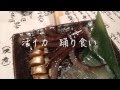 イカの踊り食い