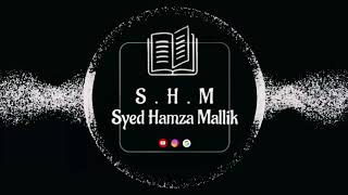 Syed Hamza Mallik Fan Syed Hamza Mallik Syed Hamza Mallik My Favourite Channel A1