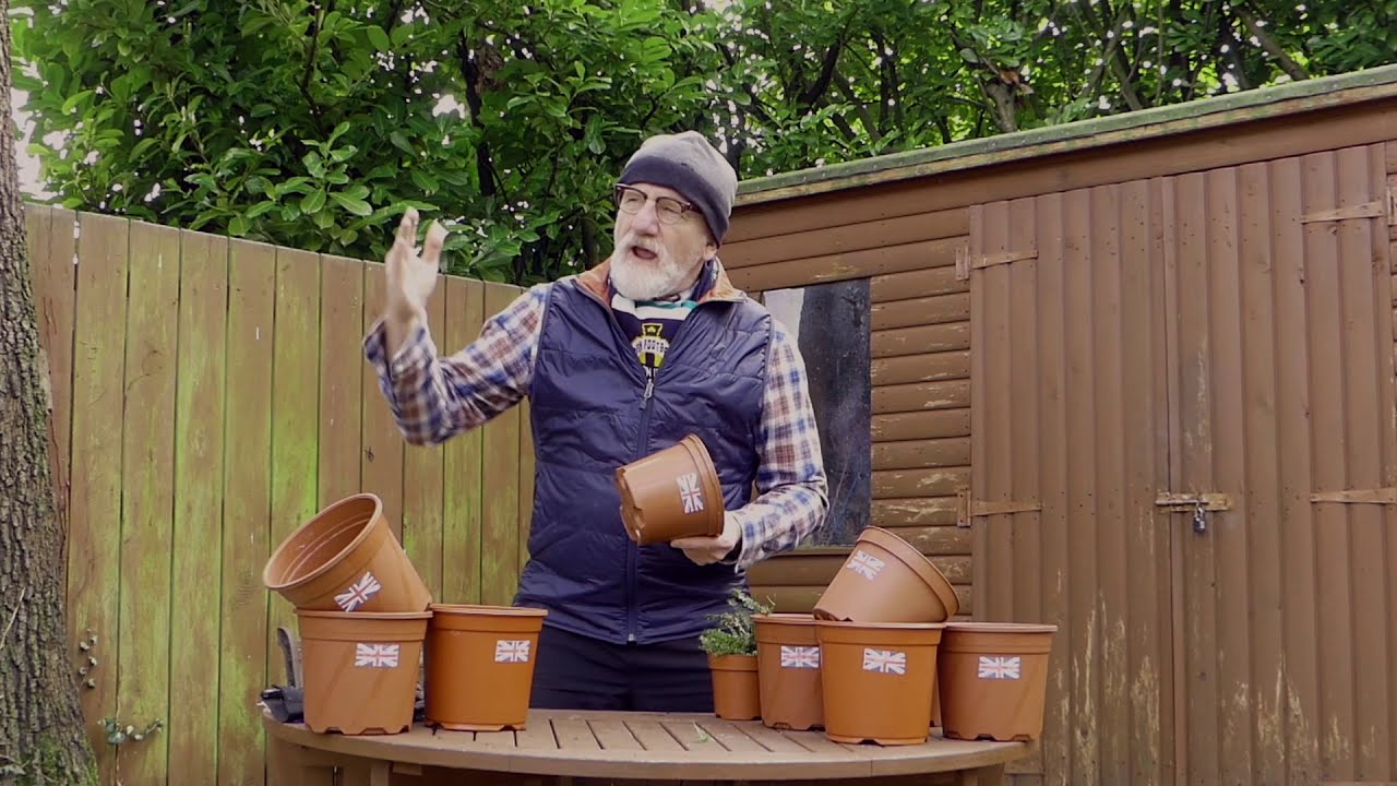 Ulster's Pot Plants Victory.