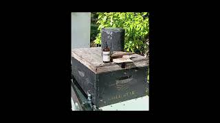Easily Capture Bees with Lemongrass Oil @OfficialGobblyGook